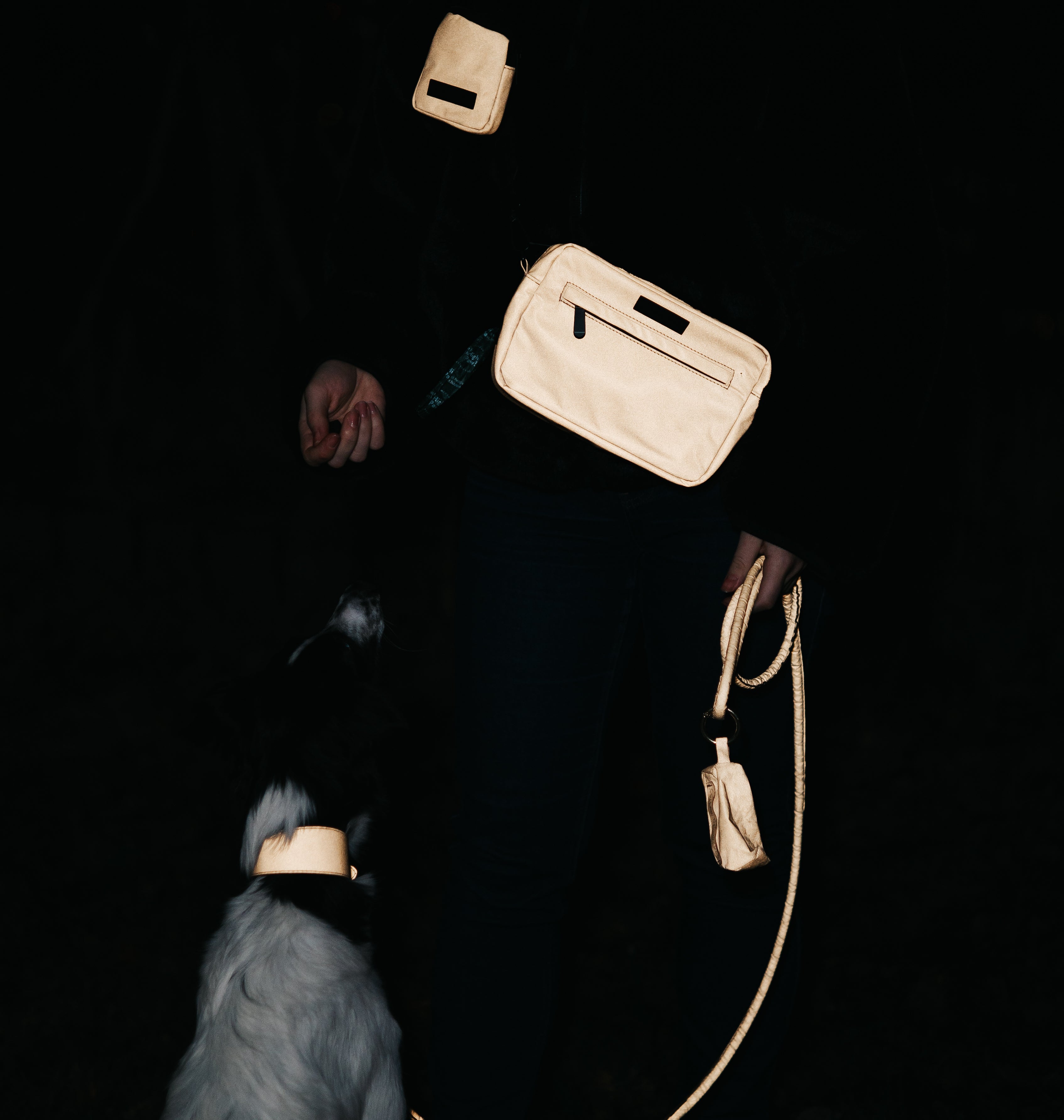 Reflective Accessories for Dogs and Dog Owners