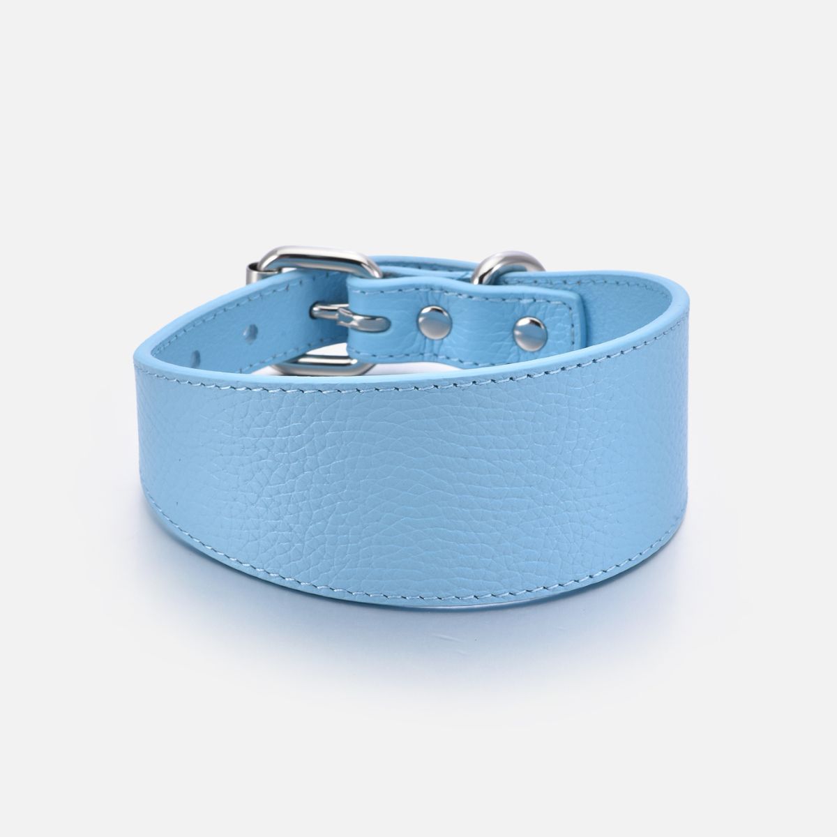 baby-blue-dog-collar-medium-wide.jpg