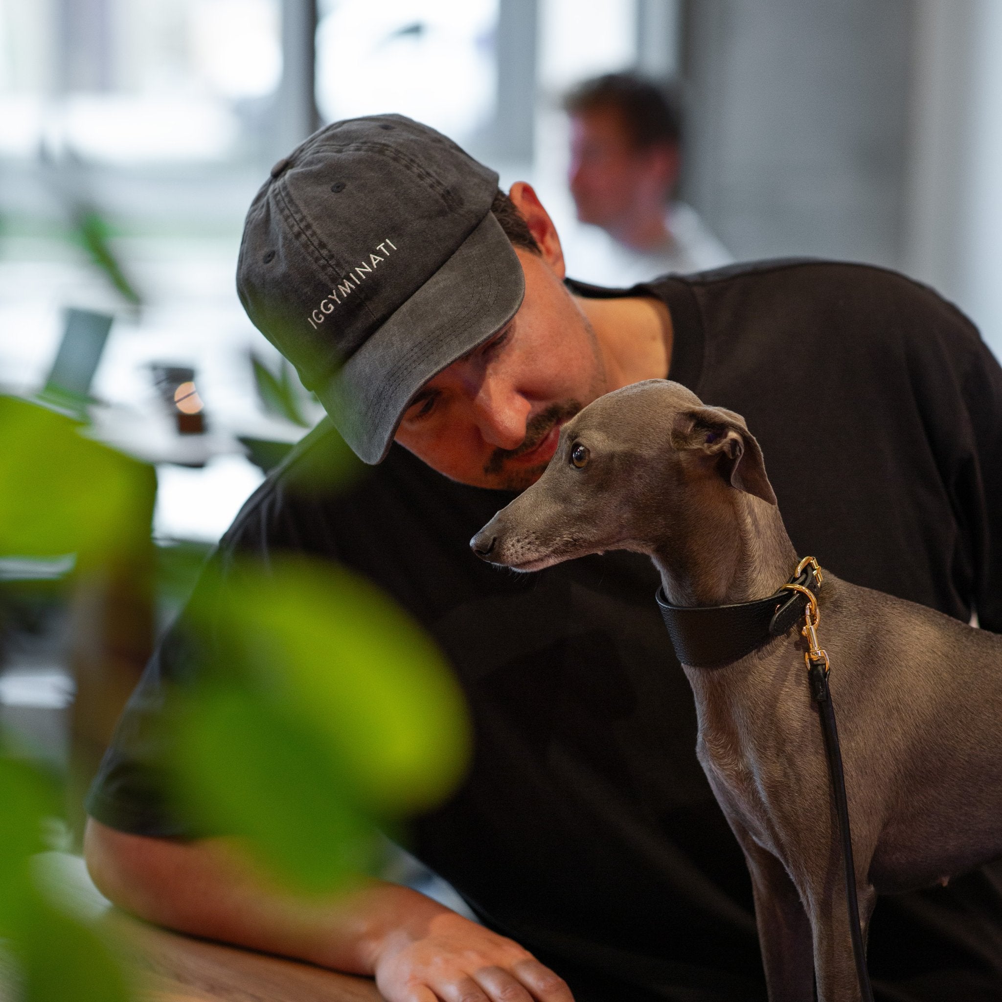black-denim-cap-iggyminati-italian-greyhound.jpg
