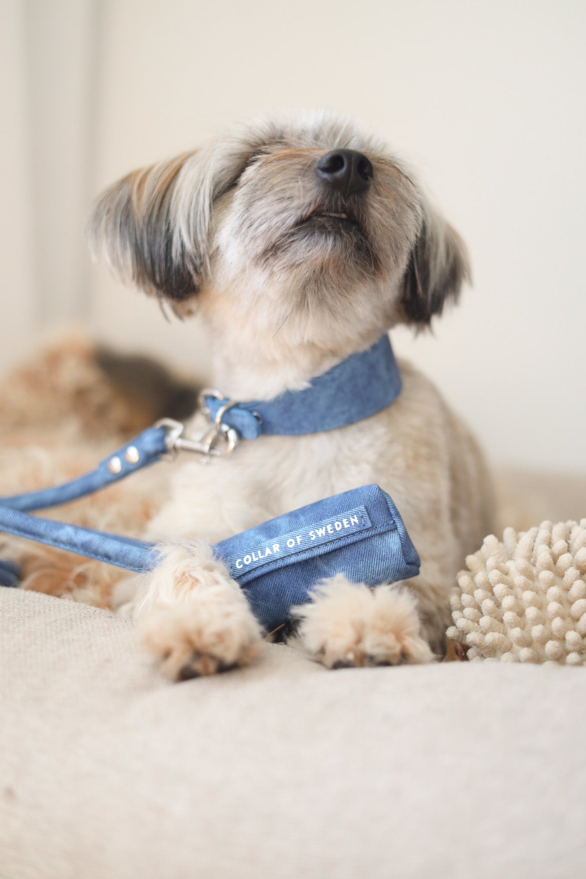 Blue Denim Poop Bag Holder