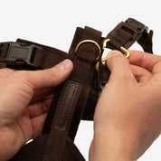 Coffee Brown Y-Harness