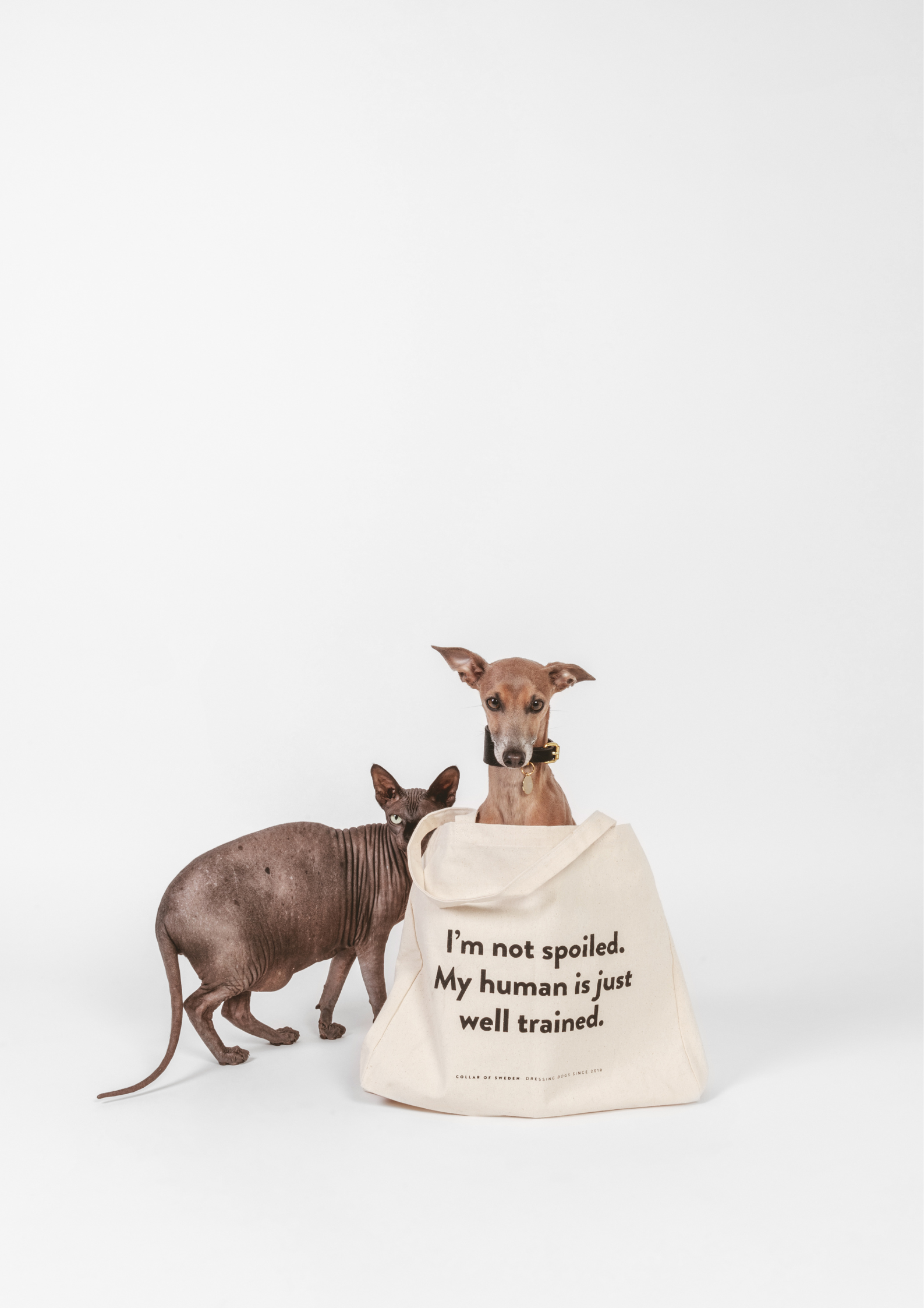 Weekend Tote Bag - I'm Not Spoiled My Human Is Just Well Trained