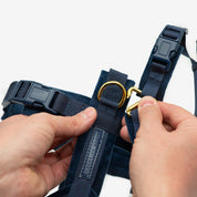 Dark Blue Y-Harness
