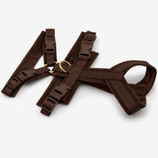 Coffee Brown Y-Harness