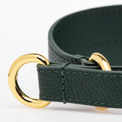 Dark Green Dog Martingale Wide