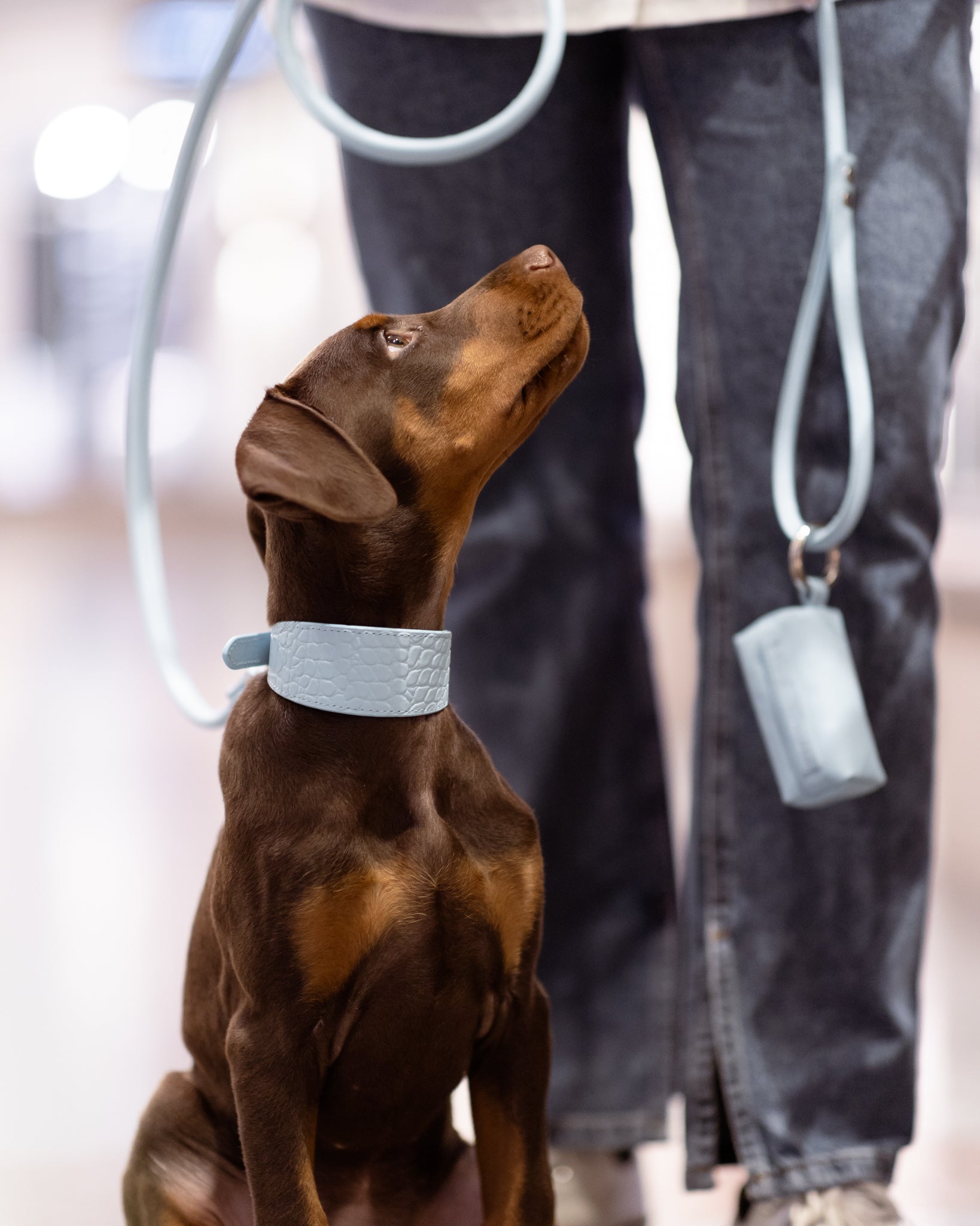 Baby Blue Poop Bag Holder