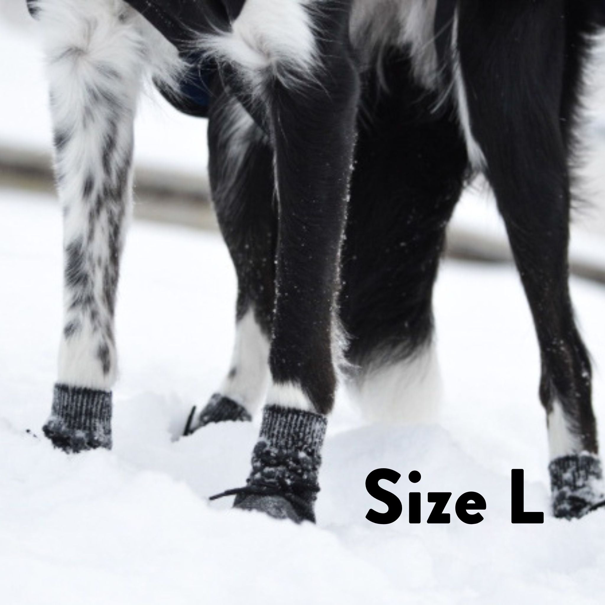 Dog Socks - 4 pack