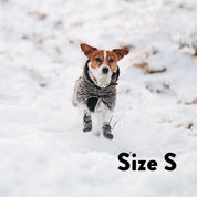 Dog Socks - 4 pack