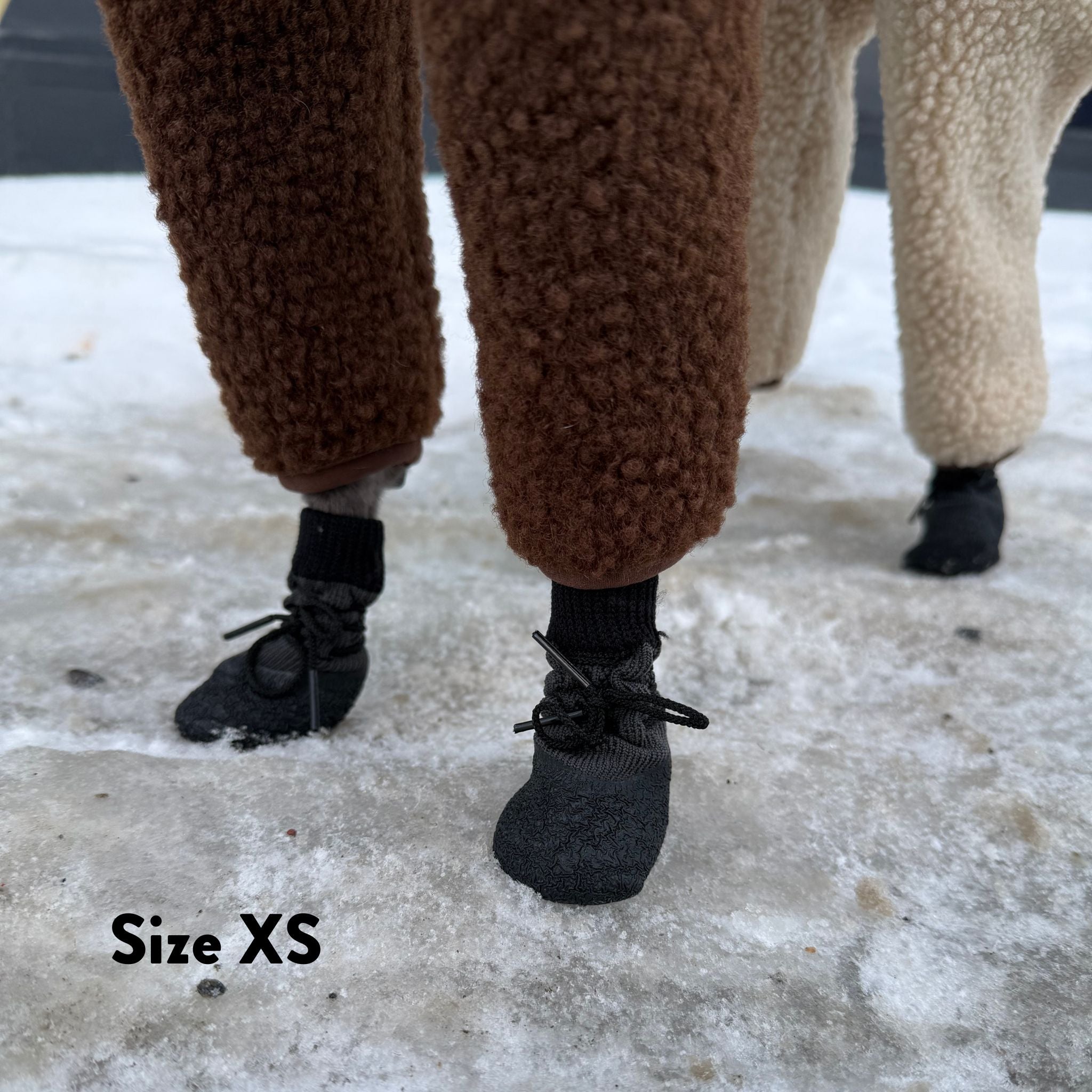 Dog Socks - 4 pack