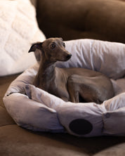 Grey Dog Bed 3in1