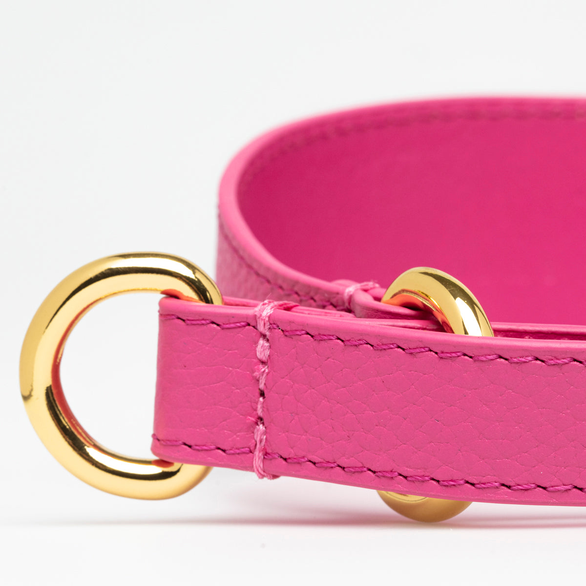 Hot Pink Dog Martingale Wide