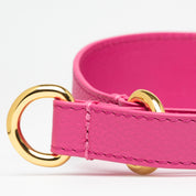 Hot Pink Dog Martingale Wide