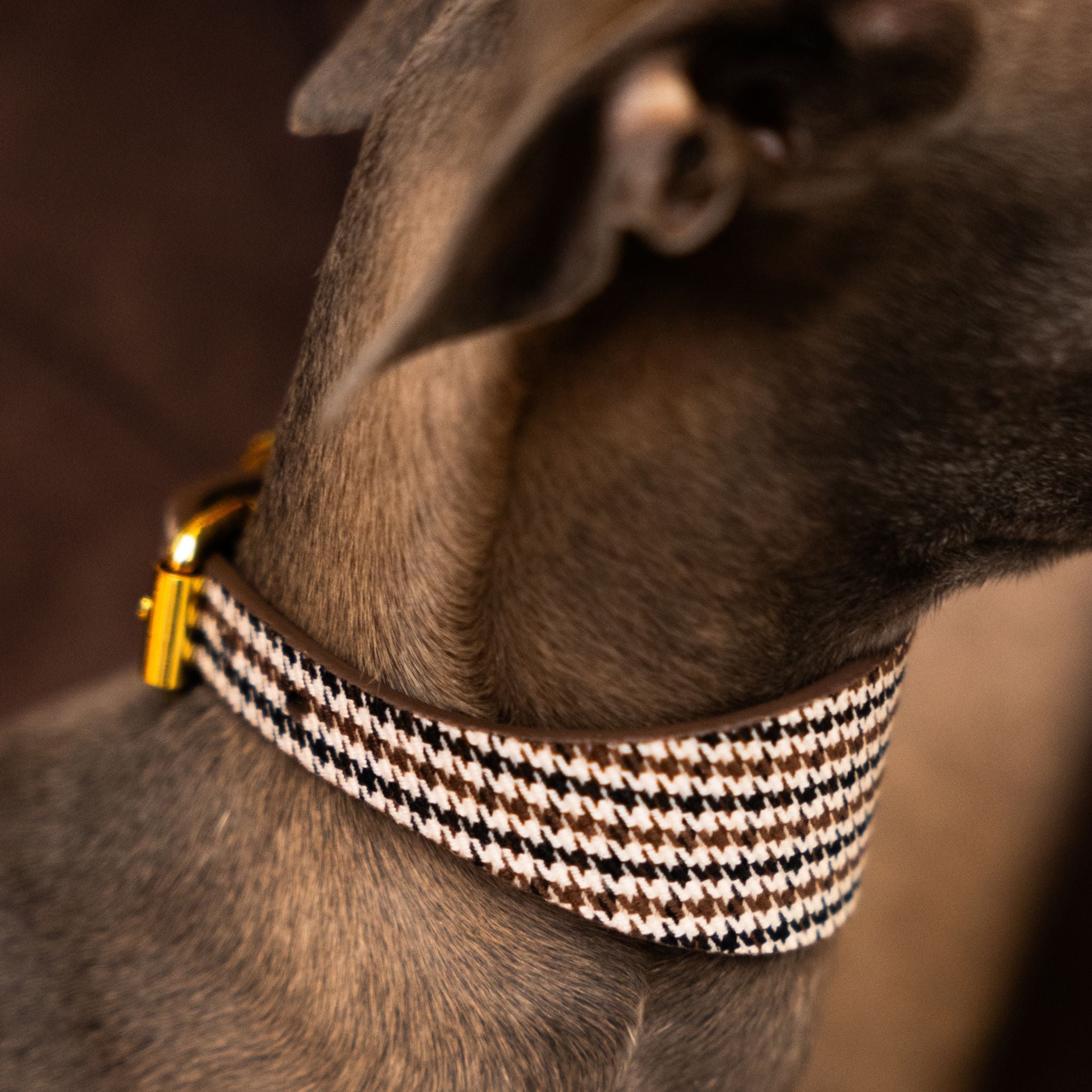 Houndstooth Dog Collar Wide