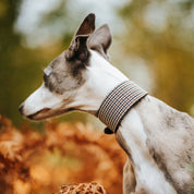 Houndstooth Dog Collar Wide