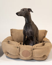 Brown Dog Bed 3in1