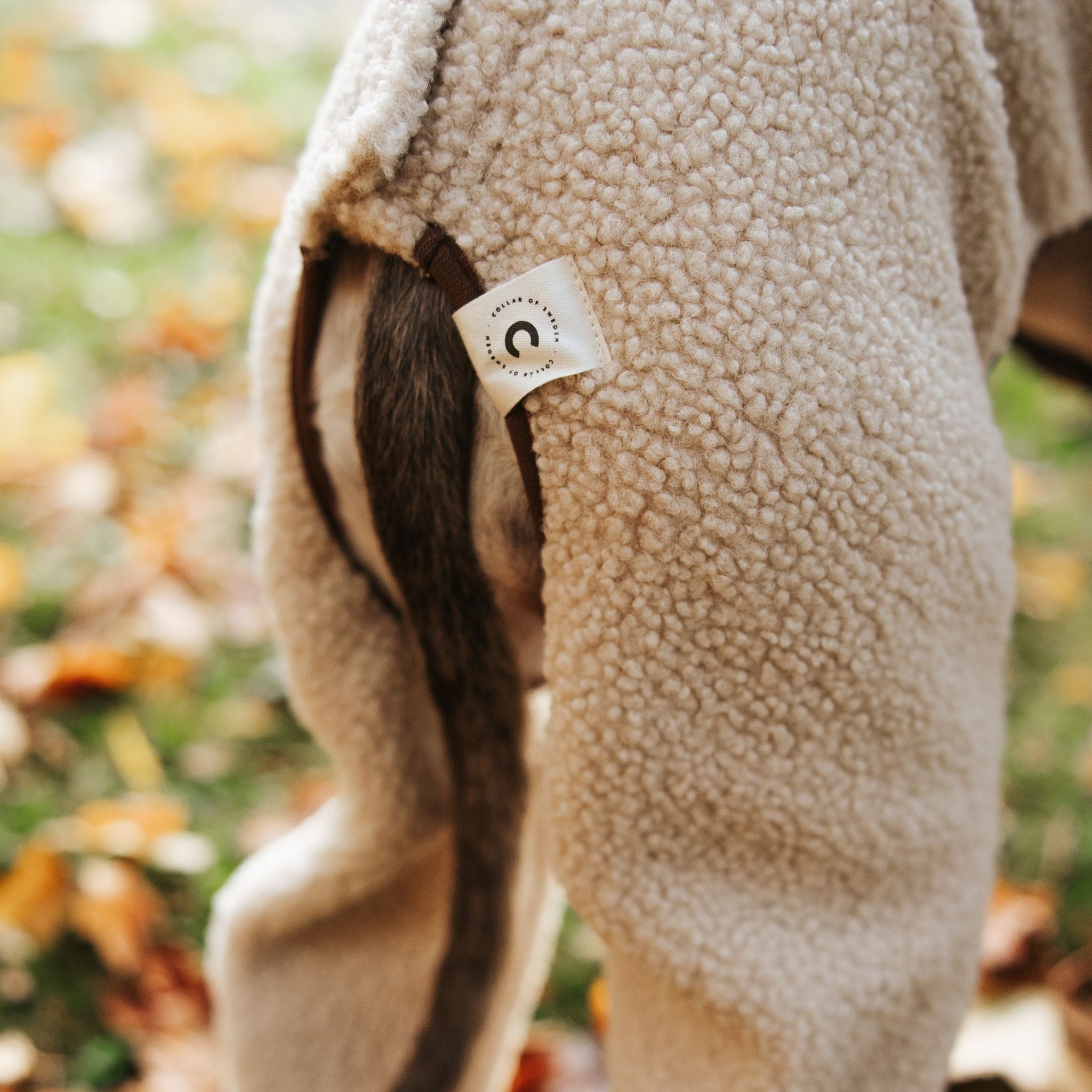 Close-up of a sheep wearing a fleece coat with a visible brand tag, set against a blurred natural background.