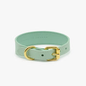 Mint Dog Collar Thin