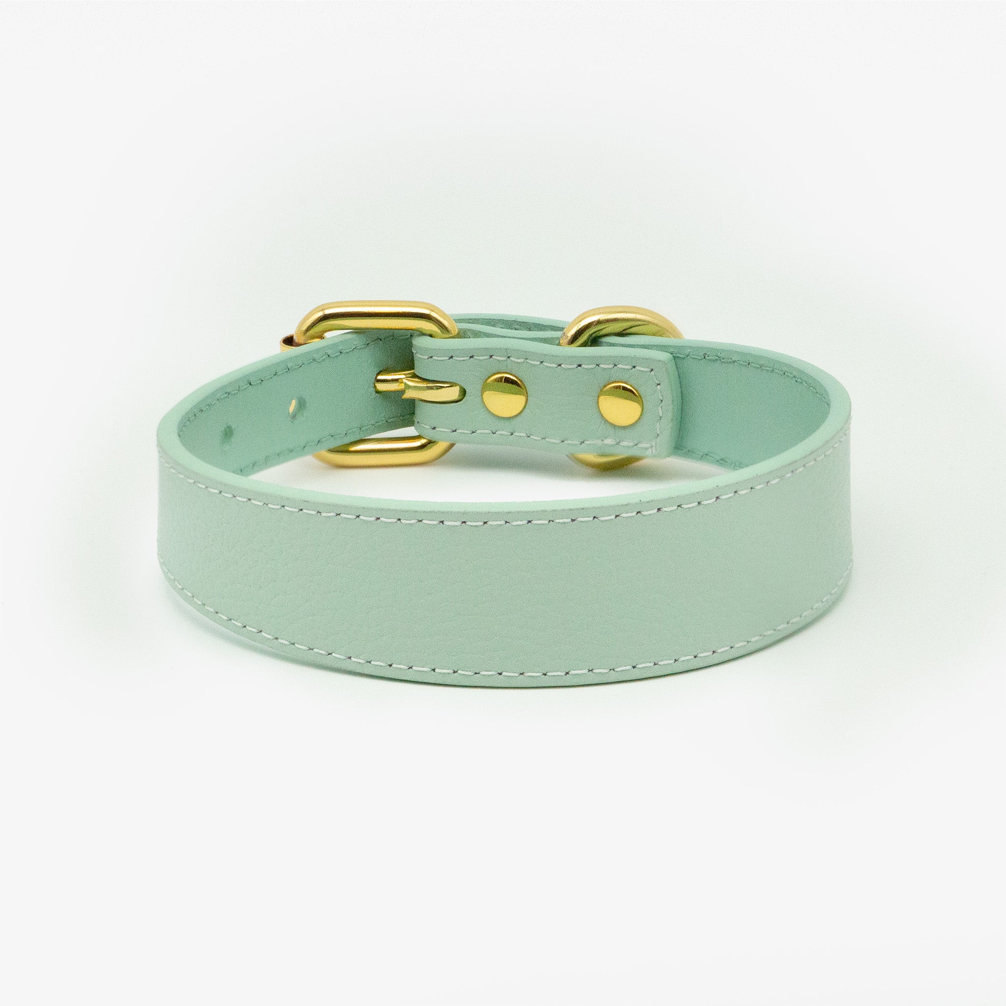 Mint Dog Collar Thin
