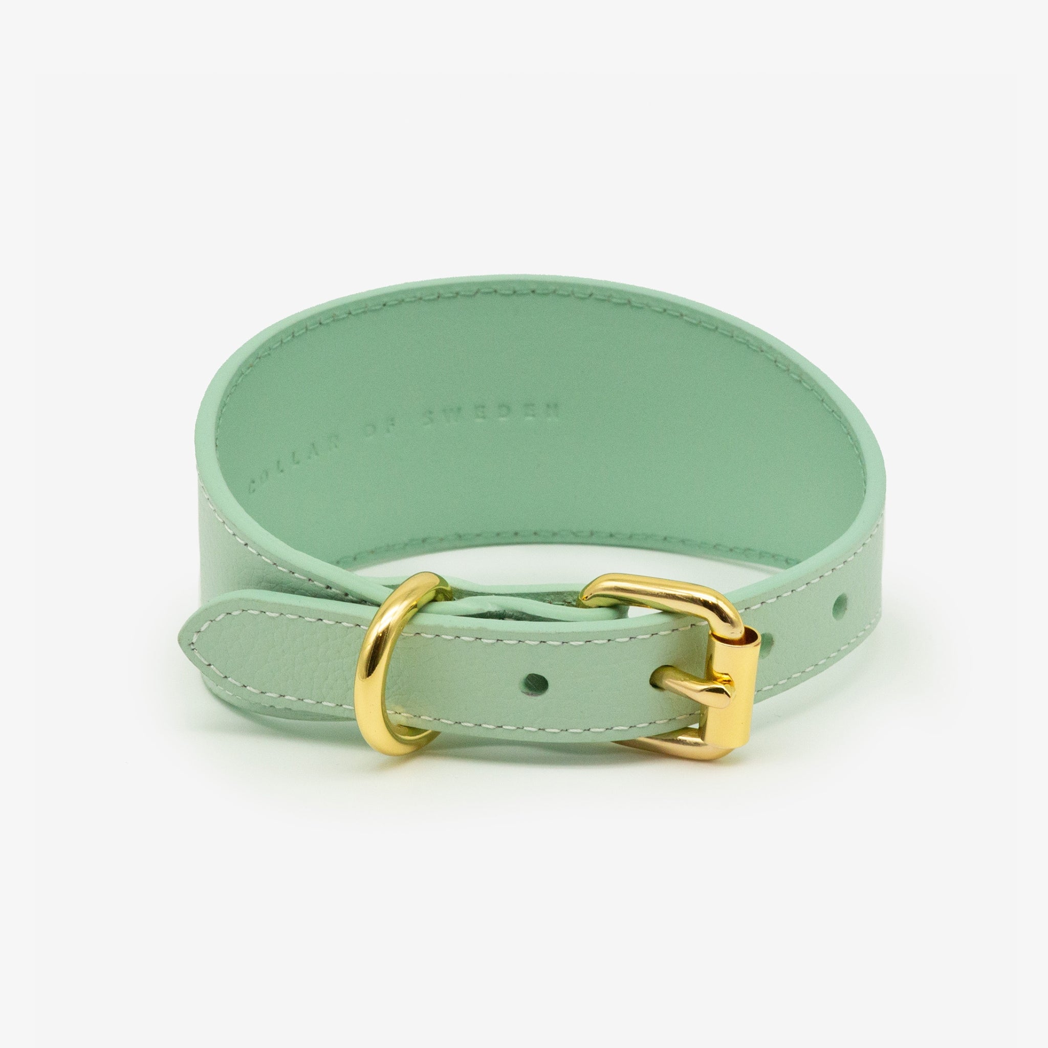 mint-dog-collar-wide-back.jpg