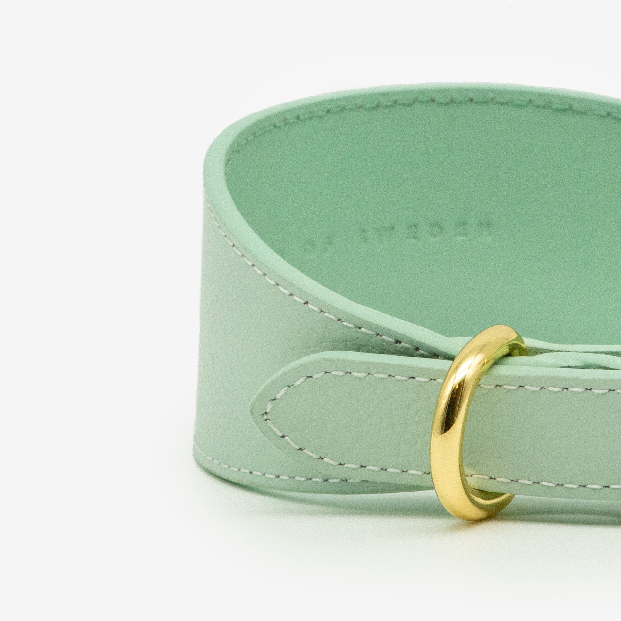 Mint Dog Collar Wide