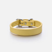 Pastel Yellow Dog Collar Thin