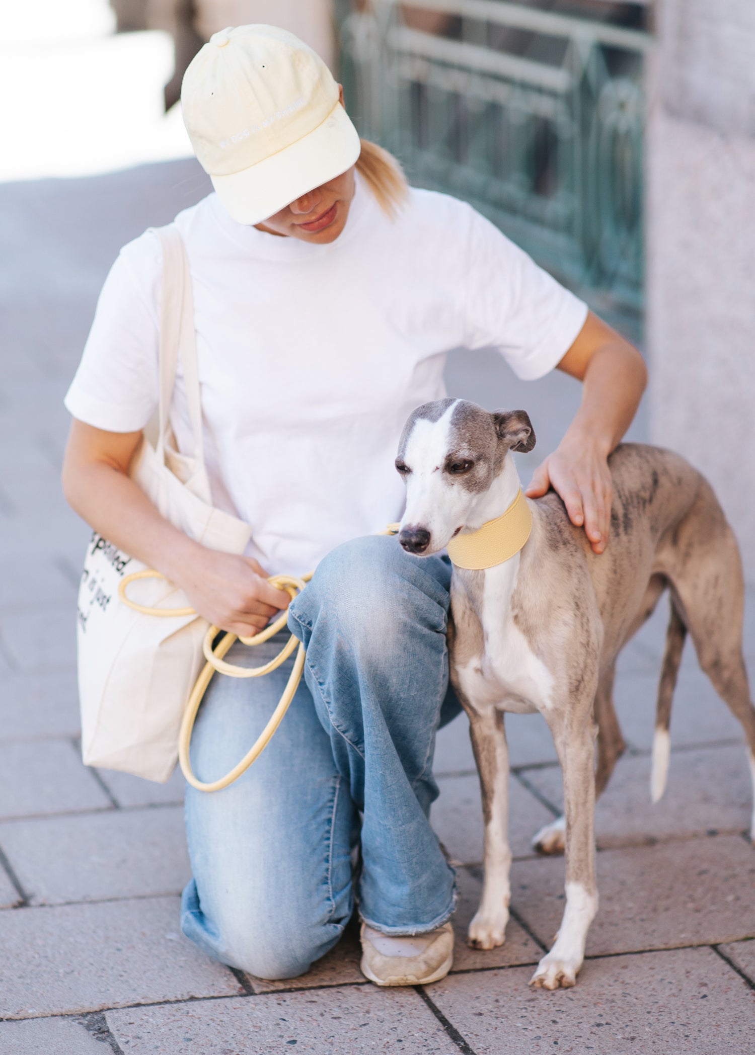Pastel Yellow Dog Collar Wide