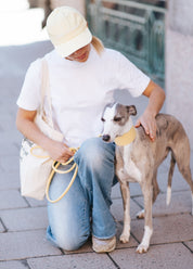 Pastel Yellow Dog Lead