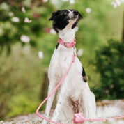 Pink Glitter Dog Lead