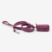 Purple Dog Collar Thin
