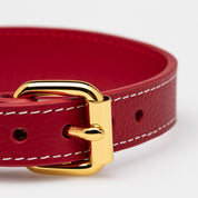 Red Dog Collar Thin