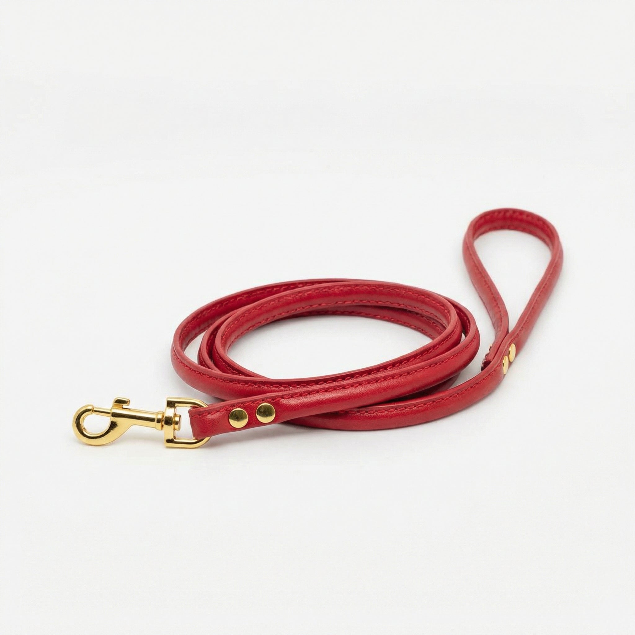 red-dog-lead-medium-gold.jpg