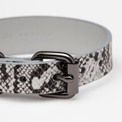 Snake Dog Collar Thin