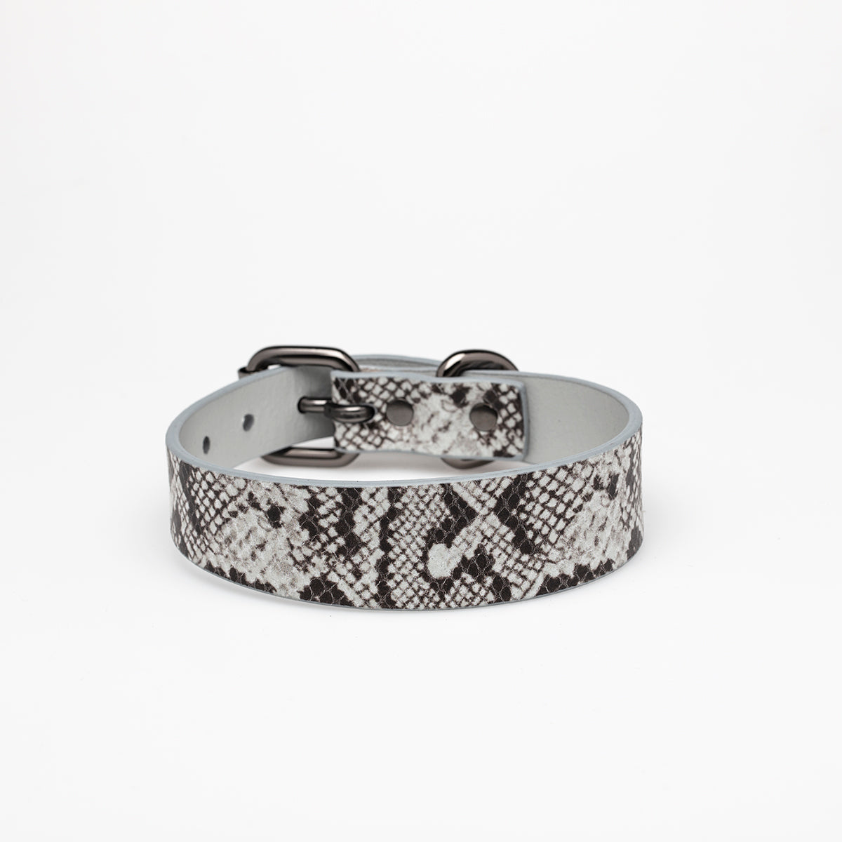 Snake Dog Collar Thin