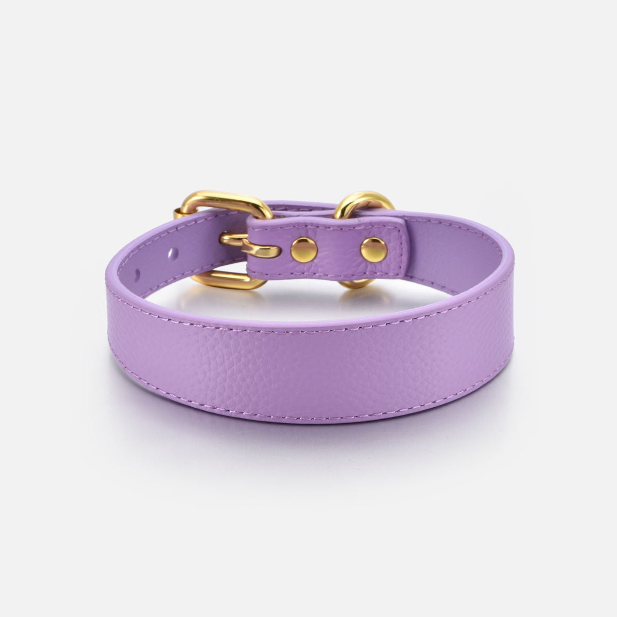 violet-dog-collar-medium-thin.jpg