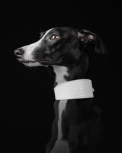 White Croco Dog Collar Wide